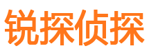 中阳市侦探公司